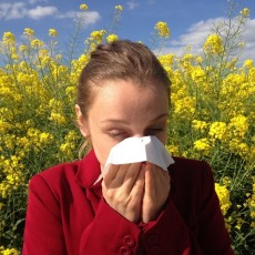 How CBD can help with a pollen allergy